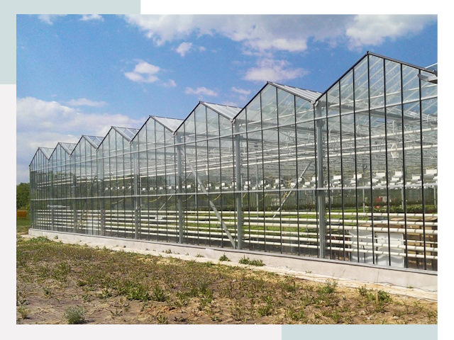 Строительство теплиц в Копейск от 616 руб. за м²