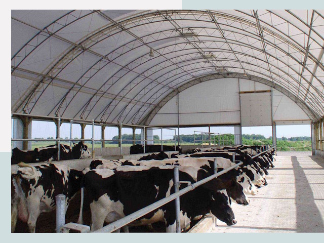 Тентовые коровники в Копейске